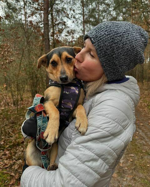 Filutek - malutki, grzeczny słodziak szuka domu!