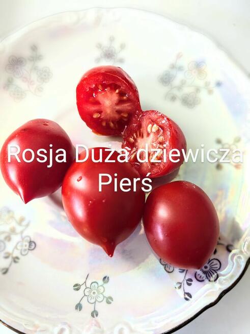 Arbuz Siberian słodki nasiona