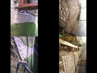 Serwis ogrod i brukarski