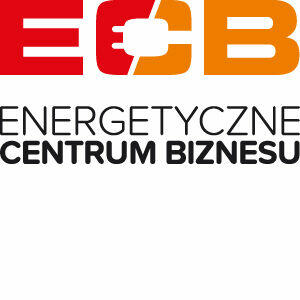 Manager ds. sprzedaży energii
