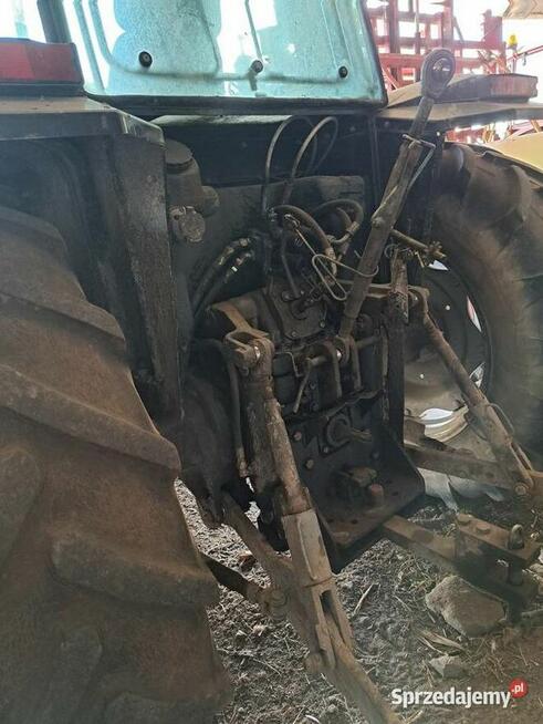 Ciagnik mf 3065 z ładowaczem turem
