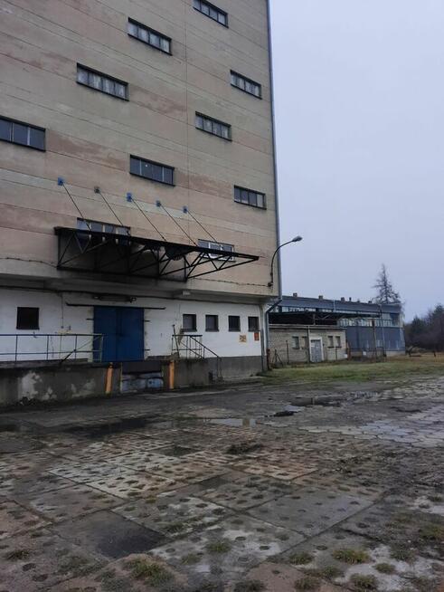 Syndyk masy upadłości oferuje do sprzedaży