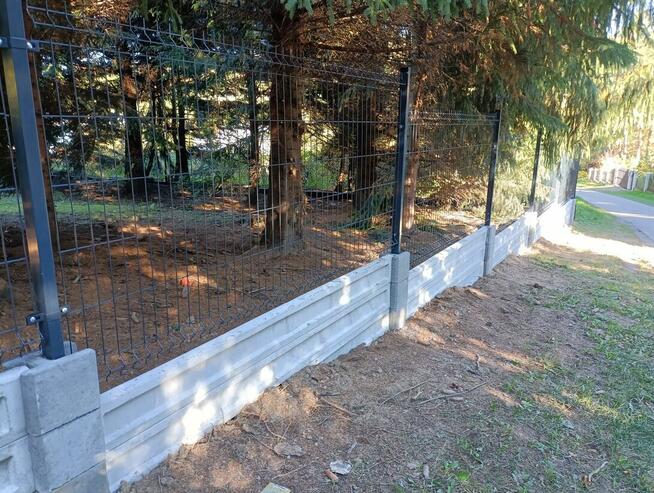 Panel ogrodzeniowy 153x250cm fi4m ocynk +kolor PROMOCJA!!!