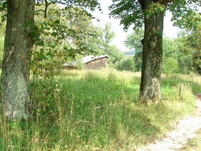 Posesja w Serednicy (pod Ustrzykami Dln.)