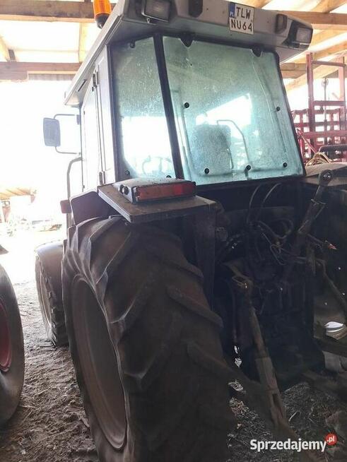 Ciagnik mf 3065 z ładowaczem turem