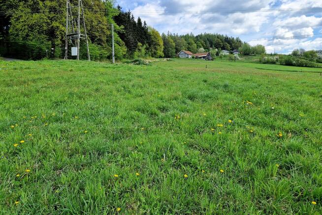 Działka 10 arów Stary Sącz/Myślec