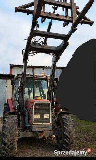 Ciagnik mf 3065 z ładowaczem turem