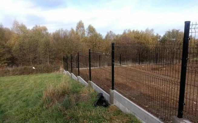 Panel ogrodzeniowy PROMOCJA 123x250cm fi4mm ocynk+kolor