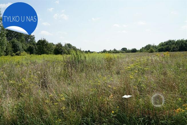 Narożna działka w Deszcznie