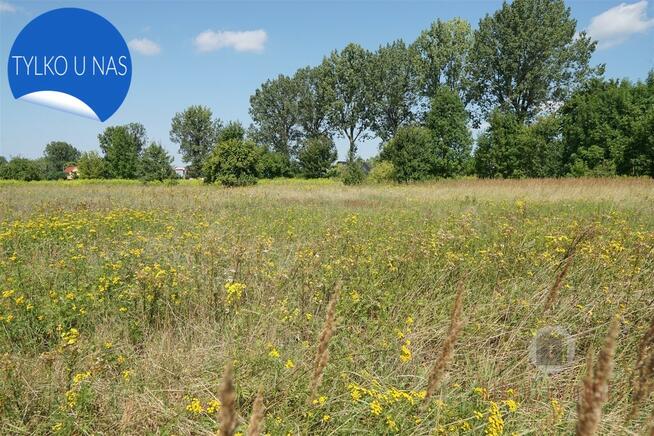 Narożna działka w Deszcznie