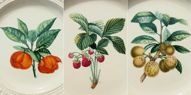 Talerze botaniczne vintage, Royal Cauldon, Anglia, kamionka