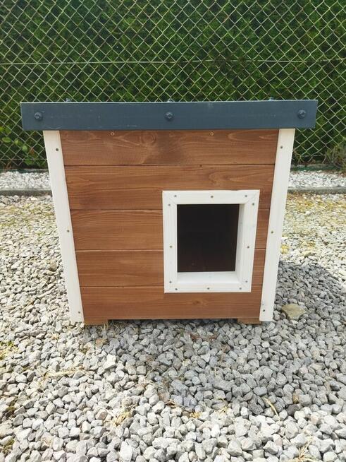 Domek, Buda dla kota