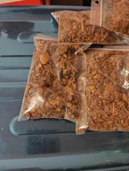 Propolis Kit Pszczeli 2025 Miód z własnej Pasieki Lipowy