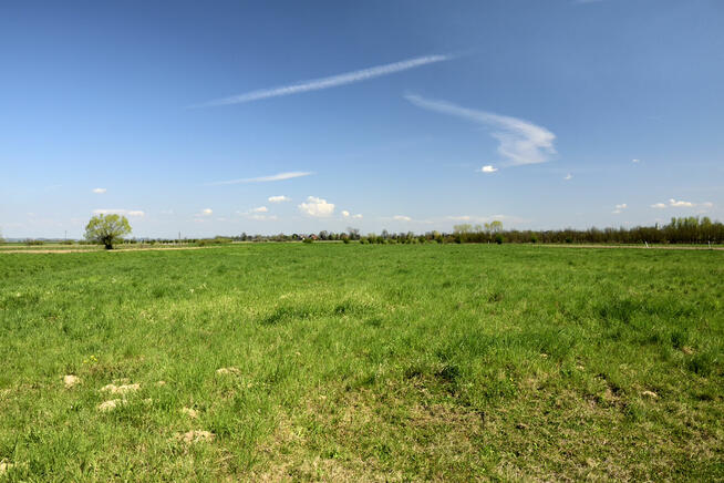 Sprzedam dom i działki - Bogucicie pow. Bochnia