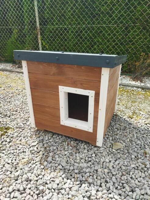 Domek, Buda dla kota