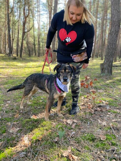 Borys - psia przylepa, kochany zwierz do pokochania!