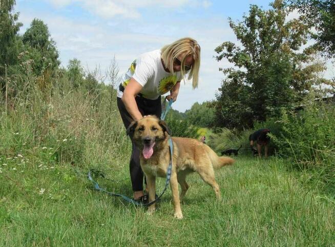 Proludzki, porzucony KUBUŚ szuka domu !! Do adopcji !!