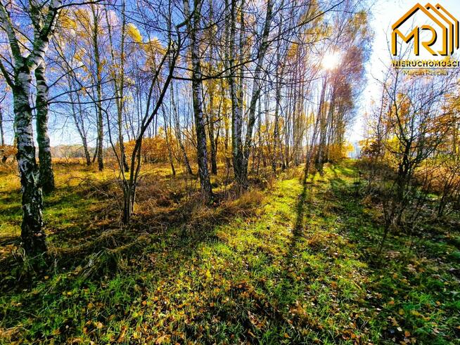 Działka rolno-budowlana Pogórska Wola gm. Skrzyszów