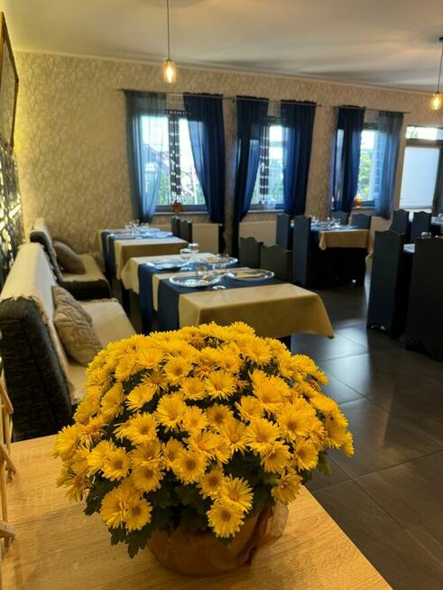 OPIEKA NAD SENIORAMI - DOM SENIORA C.M. MAGNOLIA w JAWORZE