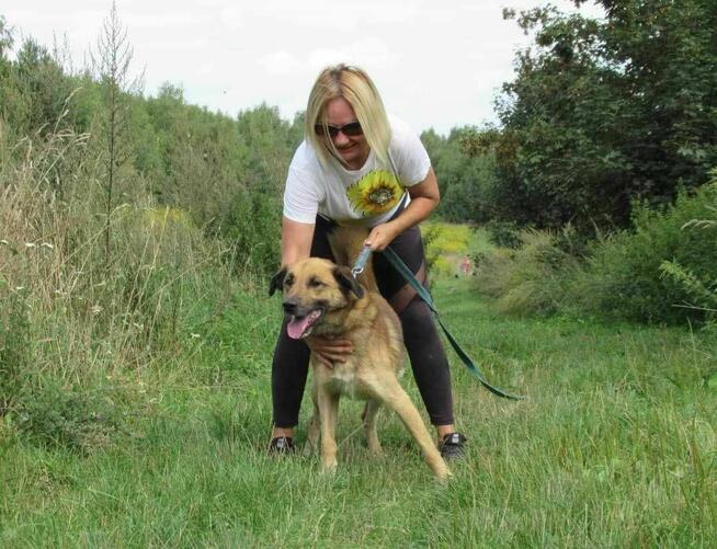 Proludzki, porzucony KUBUŚ szuka domu !! Do adopcji !!