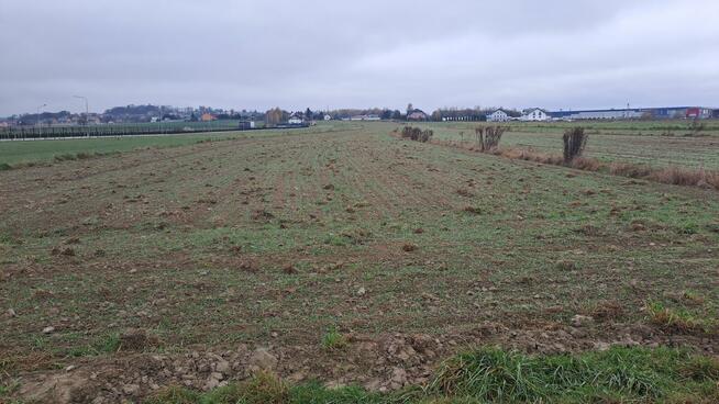 Targowisko-nieruchomosci-usługowa-