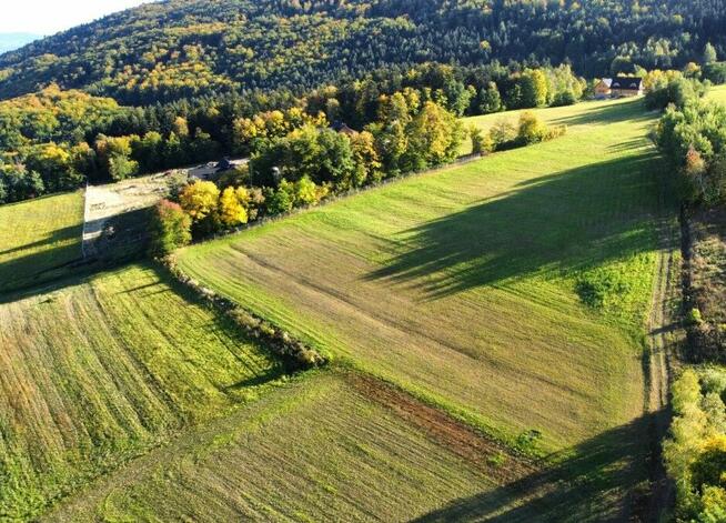 Działka, agroturystyka, siedlisko -Skrzętla-Rojowka -1,14ha