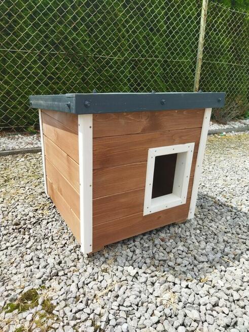 Domek, Buda dla kota