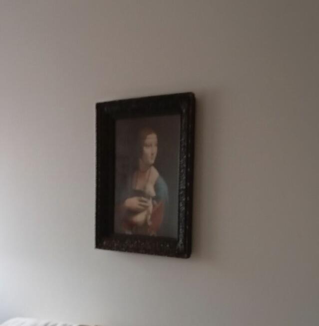 Dama z Gronostajem Leonardo da Vinci Reprodukcja