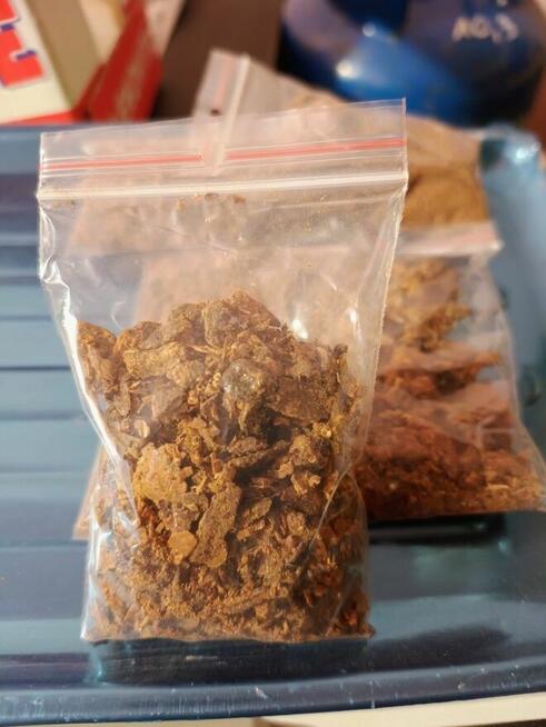 Propolis Kit Pszczeli 2025 Miód z własnej Pasieki Lipowy