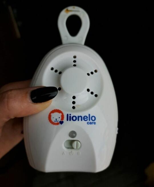 Elektroniczna niania