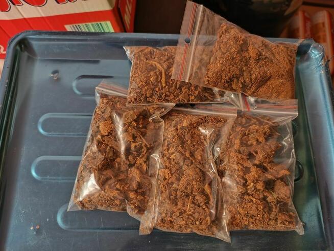 Propolis Kit Pszczeli 2025 Miód z własnej Pasieki Lipowy