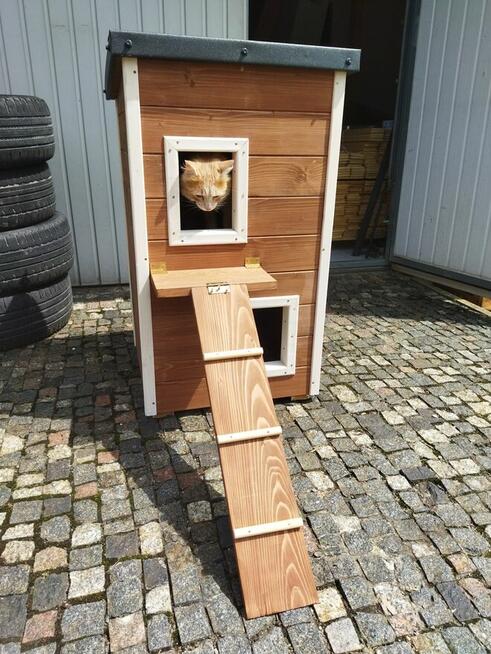 Domek, Buda dla kota