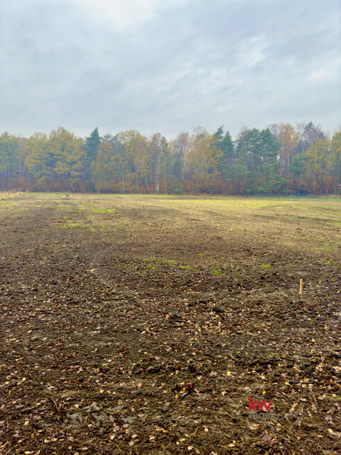 Działka budowlana Orzesze Zawiść, Pasieki