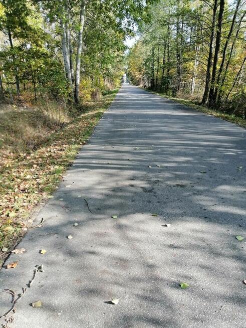 Syndyk sprzeda nieruchomość gruntową niezabudowaną