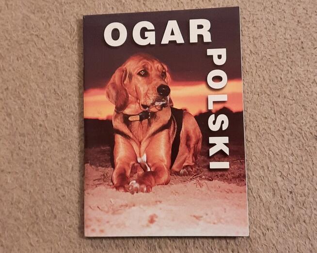 OGAR POLSKI Wschodniokarpackie TM Ogara, Krosno 2000