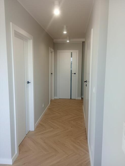 Złota Rączka, Konserwator, Serwisy