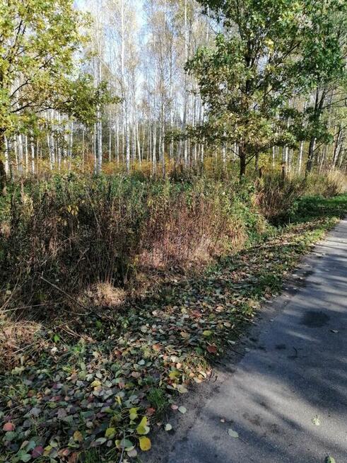 Syndyk sprzeda nieruchomość gruntową niezabudowaną