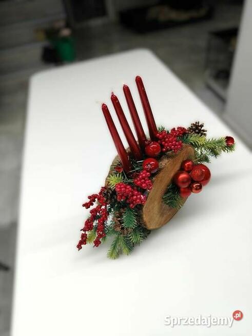 Kompozycja na plastrach drzewa