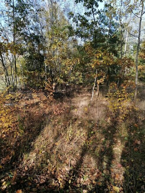 Syndyk sprzeda nieruchomość gruntową niezabudowaną