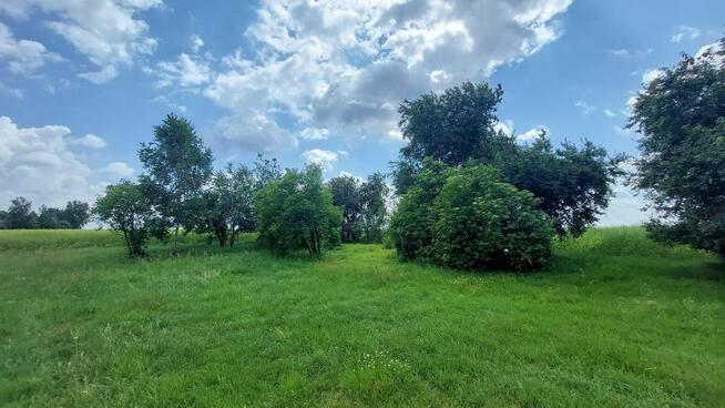 Dom 90m2*działka 20ar*powiat włodawski