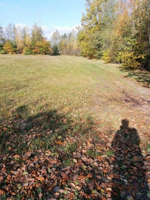 Syndyk sprzeda nieruchomość gruntową niezabudowaną