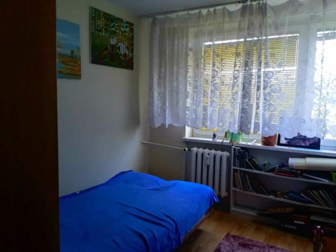 Pokój do wynajęcia