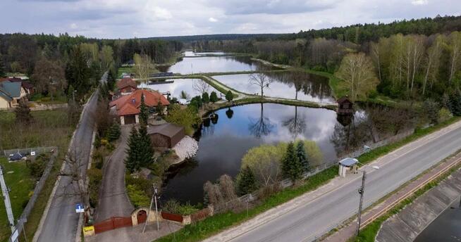 Dom Daleszyce Komórki