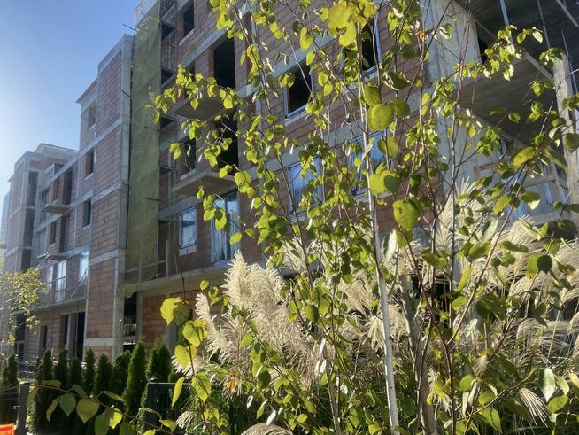 Lokal użytkowy Rzeszów, Legionów