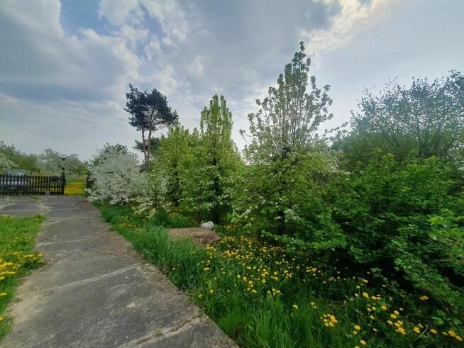 Sprzedam działkę siedliskowo-rolna