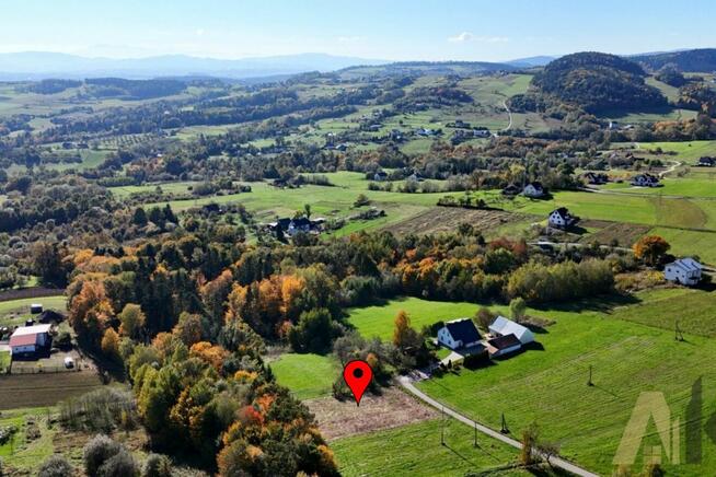 Działka z kawałkiem własnego lasu - Trzetrzewina