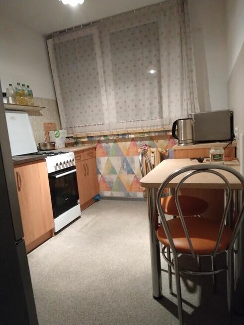 Do wynajęcia pokój w centrum Wielka/Uniwersytet Ekonomiczny