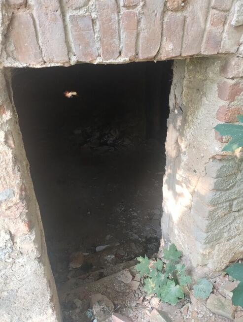 Dom na pięknej działce na górce nad jez. okazja zamiana