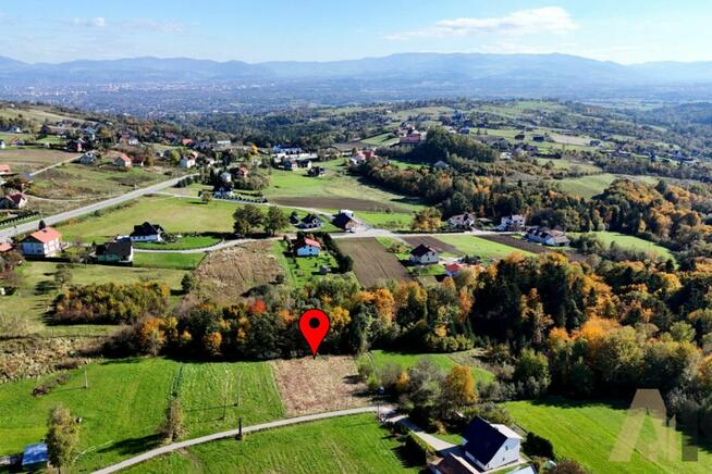 Działka z kawałkiem własnego lasu - Trzetrzewina