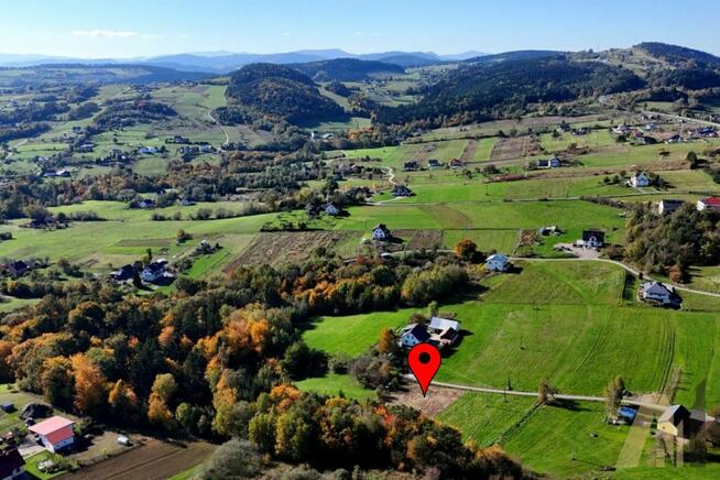 Działka z kawałkiem własnego lasu - Trzetrzewina